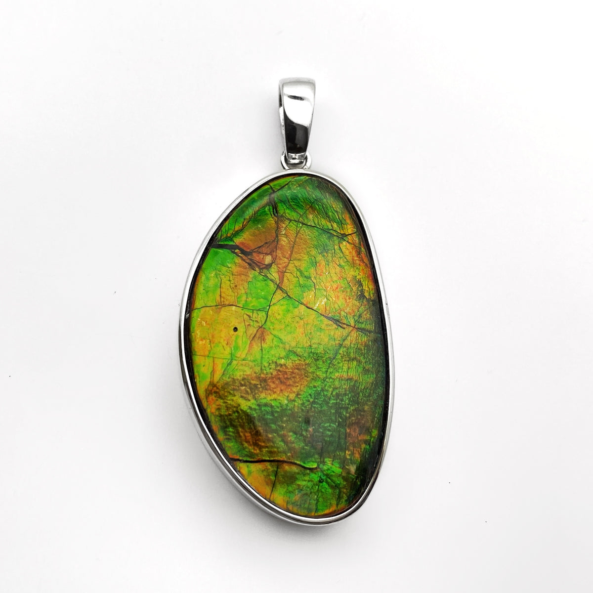 Ammolite Pendant