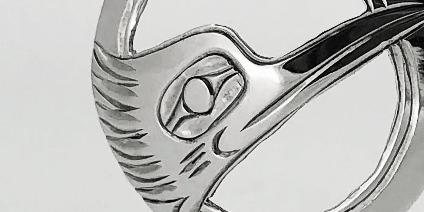 Totem Symbol: Kingfisher