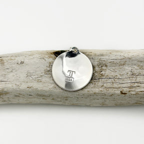 Hummingbird Pendant